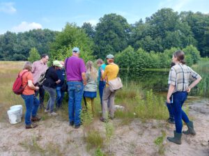 Auf_der_Suche_nach_Molchen