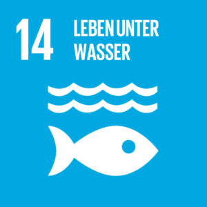 14. Lebenr unter Wasser